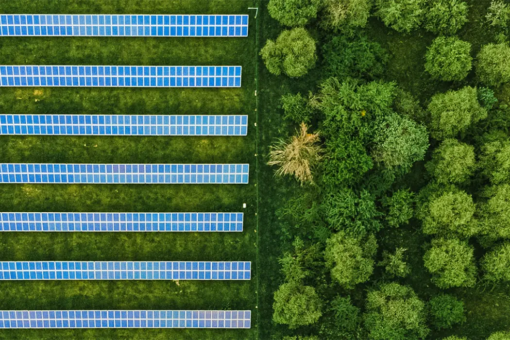 green & welfare KONOK